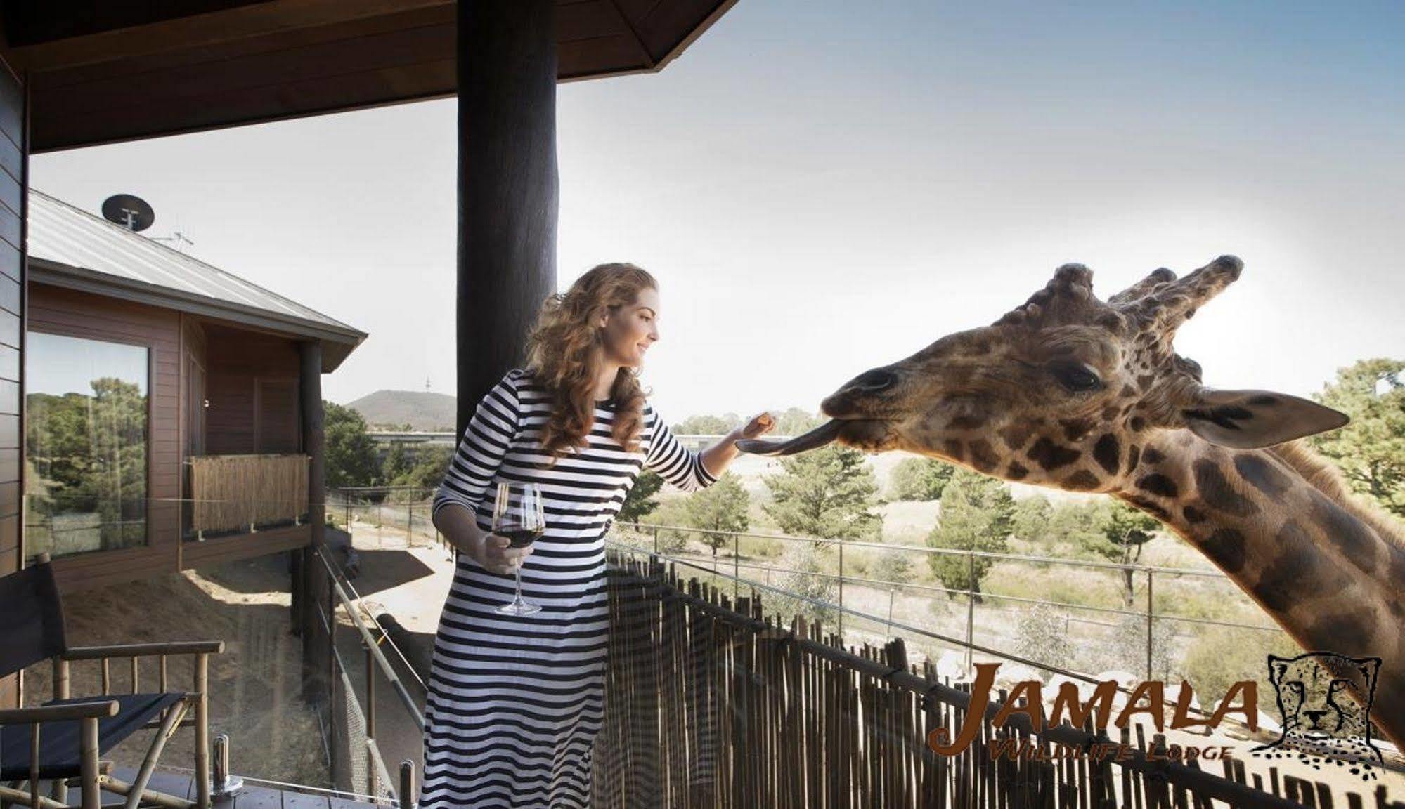 Jamala Wildlife Lodge Canberra Kültér fotó